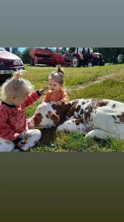Hotel Organic Family Farm Žabljak Esterno foto