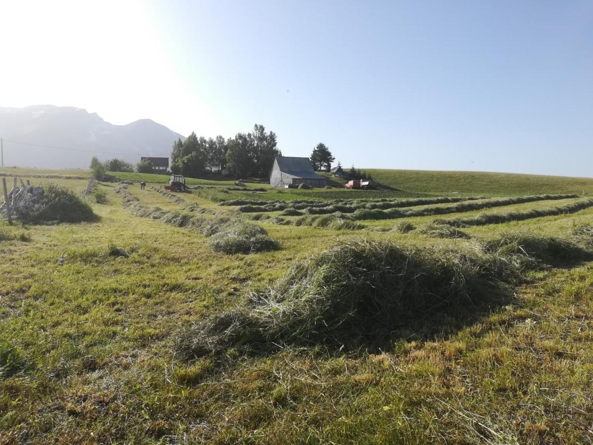 Hotel Organic Family Farm Žabljak Esterno foto