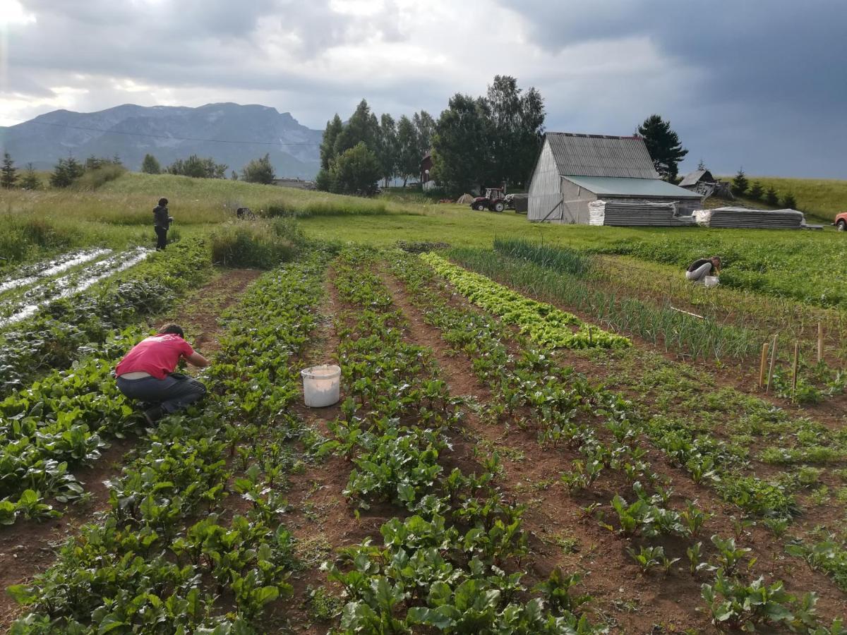 Hotel Organic Family Farm Žabljak Esterno foto