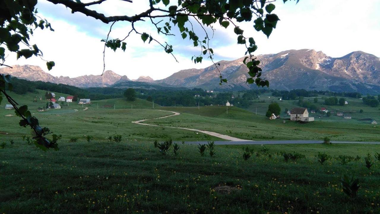 Hotel Organic Family Farm Žabljak Esterno foto
