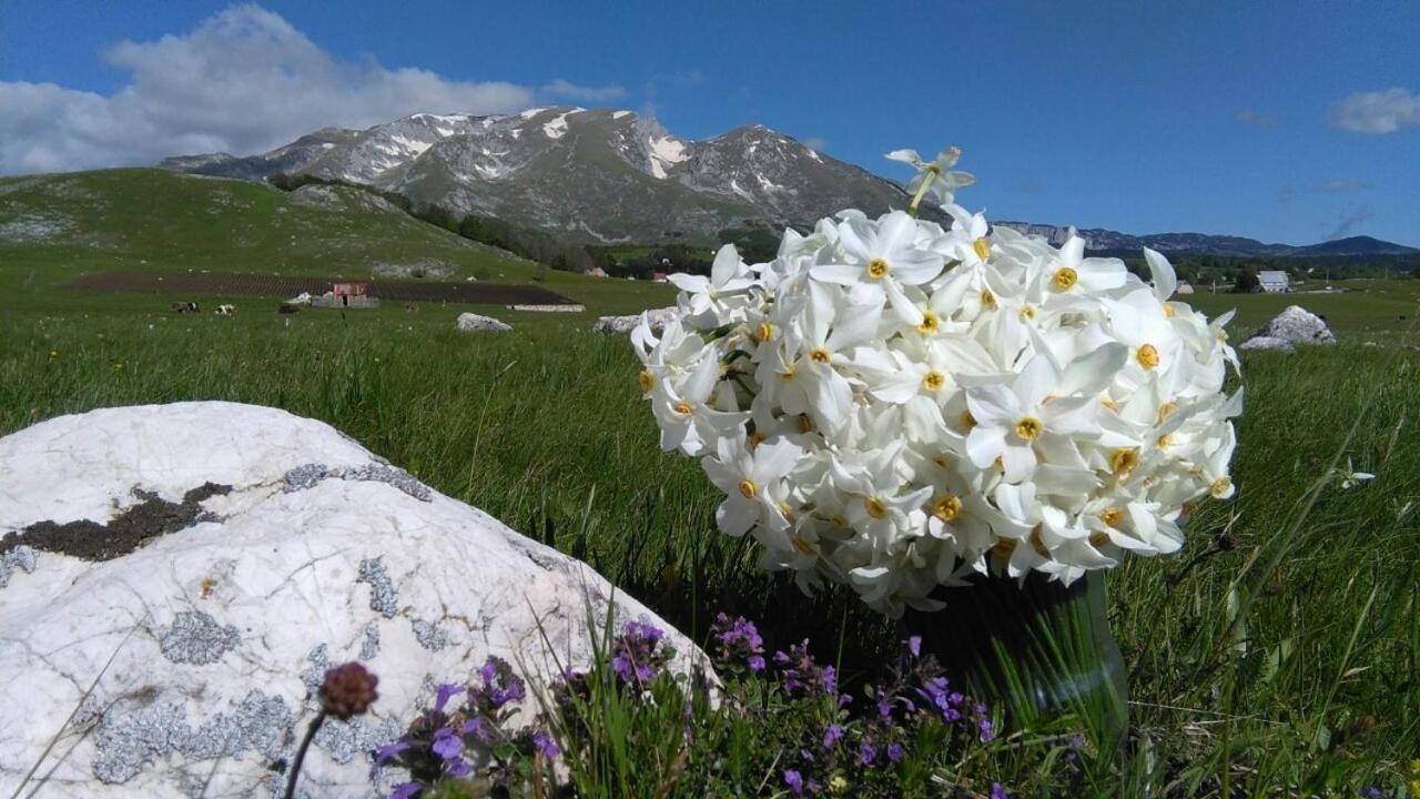 Hotel Organic Family Farm Žabljak Esterno foto